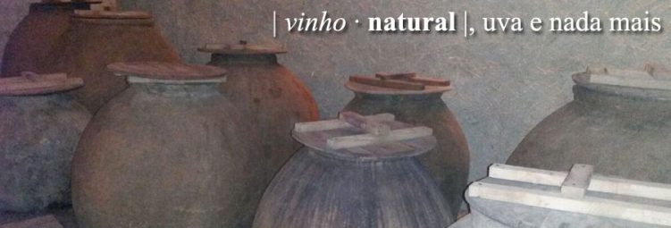 original-wine-vinho-todo-dia-topo-natural
